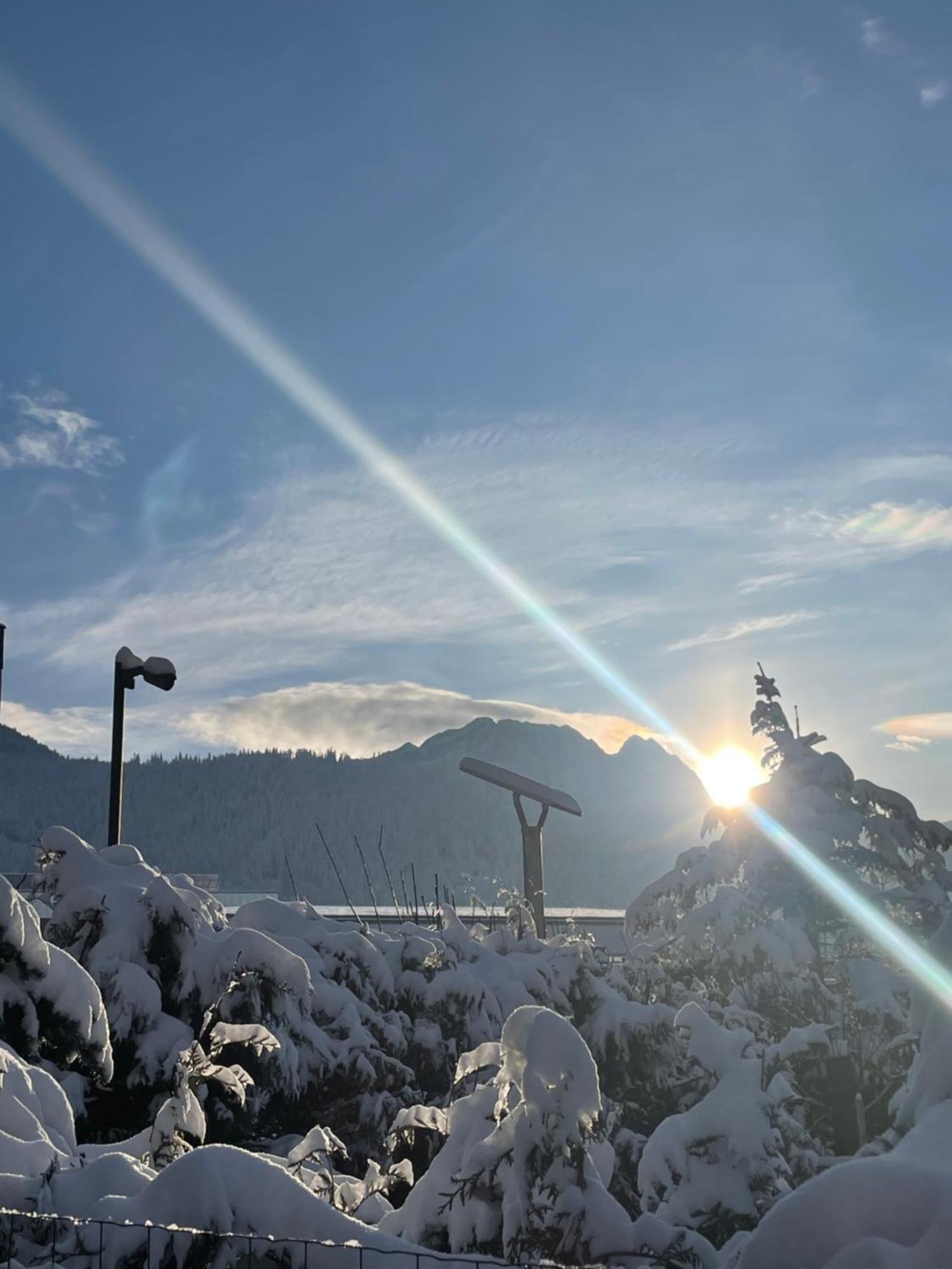 Owce Dwie Zakopane Eksteriør bilde